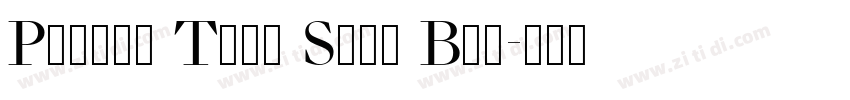 Picara Text Sans Bol字体转换 Picara Text Sans Bol字体转换